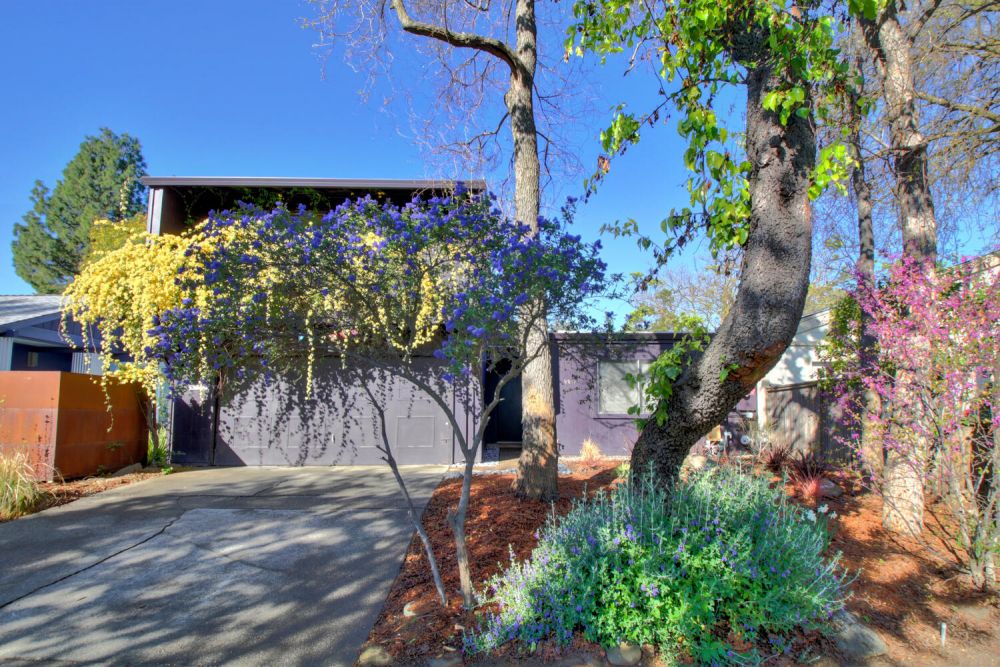 2217 Amar Ct.